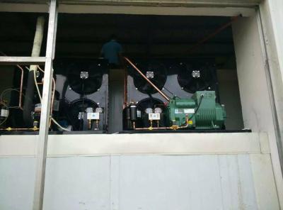 雙流蛟龍港食品廠冷凍+冷藏